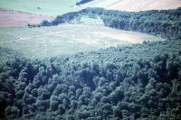 Photo de Pierre-la-Treiche (54)