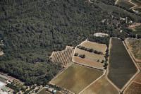 Photo de La-Londe-les-Maures (83)