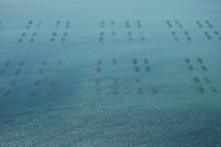 Photo de Leucate (11)