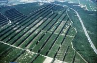 Photo de Donzère (26)