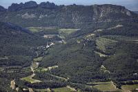 Photo de Gigondas (84)