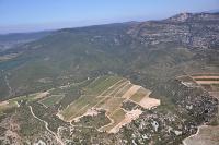 Photo de Arboras (34)