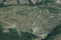 Photo de Ampuis (69)