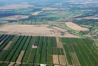 Photo de Saint-Martin-de-Crau (13)