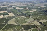 Photo de Coursan (11)