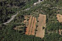 Photo de La Verdière (83)