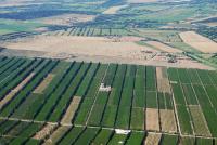 Photo de Saint-Martin-de-Crau (13)