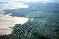 Photo de Erneville-aux-Bois (55)