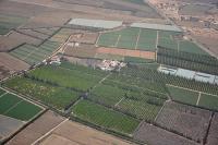 Photo de El Aasla