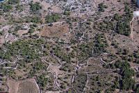 Photo de Leucate (11)