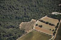 Photo de La-Londe-les-Maures (83)