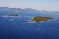 Photo de Cannes (06)