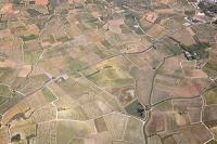 Photo de Tuchan (11)