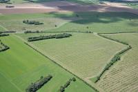 Photo de Dombrot-le-sec (88)