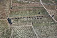 Photo de Gigondas (84)