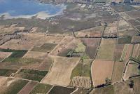 Photo de Peyriac-de-Mer (11)