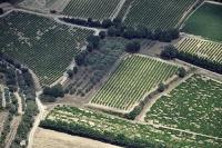 Photo de Lambesc  (13)