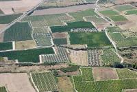 Photo de Calvisson (30)